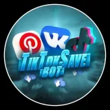 TikTokSave - descarga desde TikTok VK