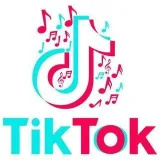 TikTokTopSongs- TikTok hits.