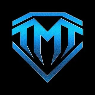 THE MONEY TEAM - организация
