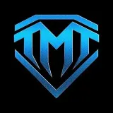 THE MONEY TEAM - организация
