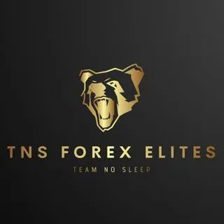 TNS FOREX ELITES - обучение Forex