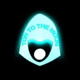 TON TO THE MOON - мысли о крипте