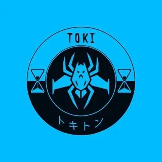 TOKI - Информация TON WEB