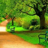 Tour Travel Group - tours and travel