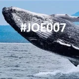 Joe007BitfinexWhale - BTC trader