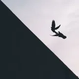 T R A G E D Y & H O P E - electronic music