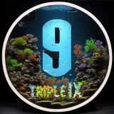Triple❾- contenido aleatorio