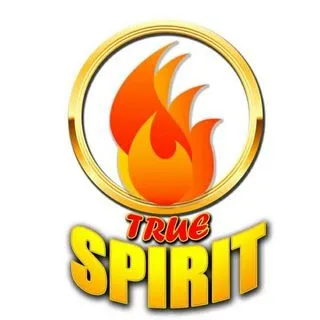 TRUESPIRIT TV - Духовное развитие