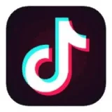TikTok Instagram Save - video photo