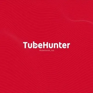 Tube Hunter - музыкальный бот