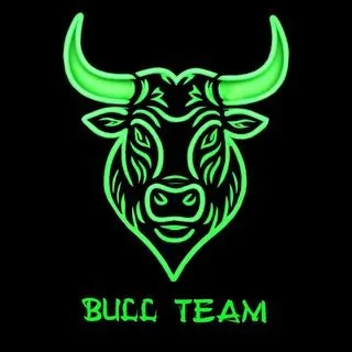 BULL TEAM GROUP VPN - новости и чат