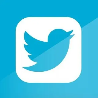 Скачать видео Twitter - бот