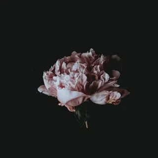 Obliviate - Мысли и заметки