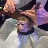 UNFILTERED POSTING - Без фильтров