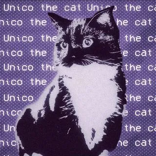The Unico Cat - котик