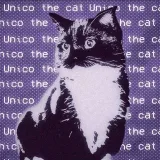 El gato Unico