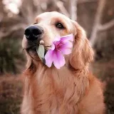 Daily Dose of Cuteness - милота