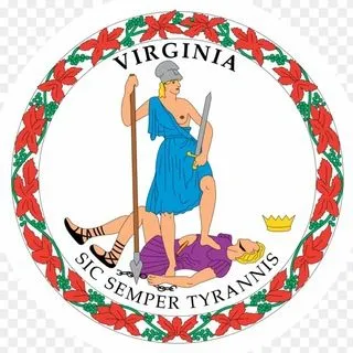 Virginia Audit - аудит выборов