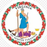 Virginia Audit - аудит выборов