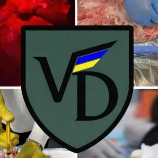 Valkyrie Docet - тактическая медицина