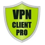 Cliente VPN Pro - Copias de seguridad