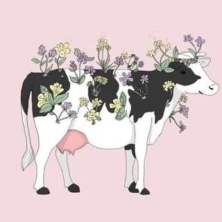 VEGANS - веган сообщество