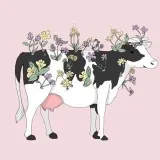 VEGANSvegan community