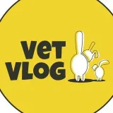 VetVlog - veterinary oncology