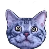 VIBE MEMES- memes y videos