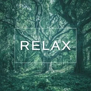 Relax video - природа и музыка