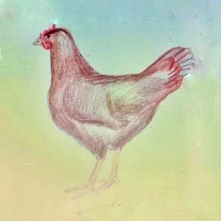 Vidlákovo - Чешские разоблачения