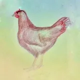 Vidlákovo - Revelaciones checas