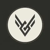VigorAccount - un canal personal