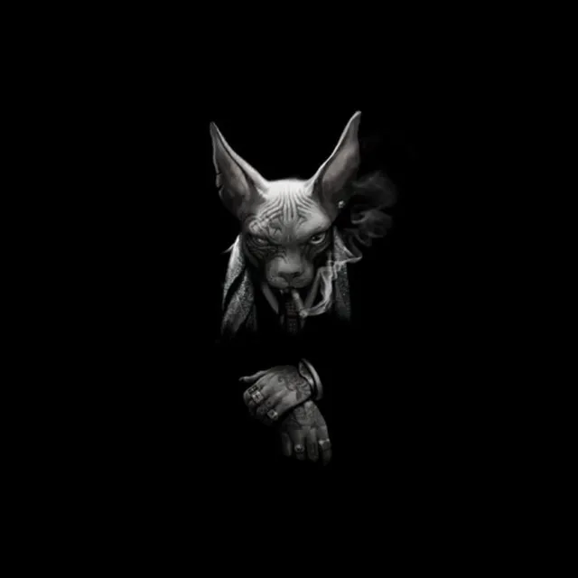 Tittbett - интересный контент