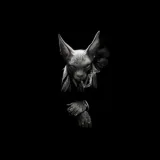 Tittbett- interesting content