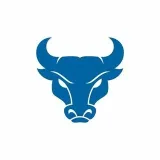 Bullsview- Exámenes de mercado