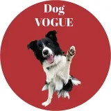 Vogue de perro - Vivir con Collie de frontera.