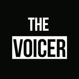 The Voicer - аналитика и здравый смысл