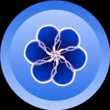 Voyager - cripto