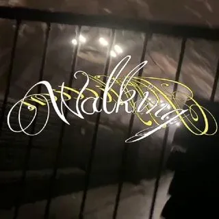 Walking Affliction - стритвир одежда