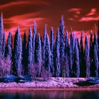 wallpapersGram - обои для экрана