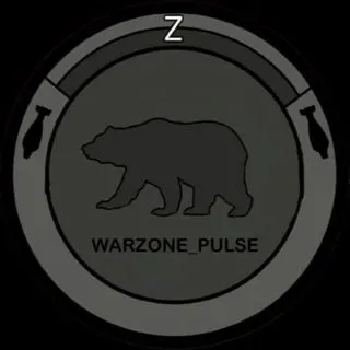 WARZONE_PULSE - военная зона