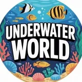 Underwater World - ocean secrets