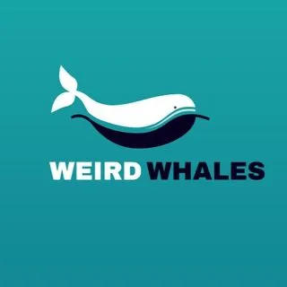 WEIRD WHALES - инвестиции Web3