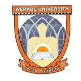 Werabe University university