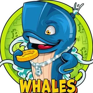 The Whale - Bitcoin P&D