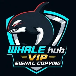 Whale Hub VIP - сигналы копирования