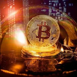 Whales Crypto News - тренды крипто