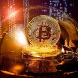WhalesCryptocurrencyNews- Crypto Trends