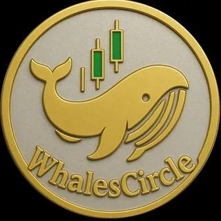 Whales Circle - инсайты рынка